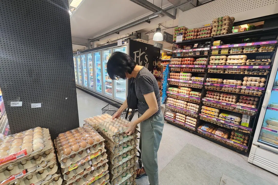 Malaysia implemented subsidies and price ceilings for chicken and eggs in February 2022, which had surged due to supply shortages.