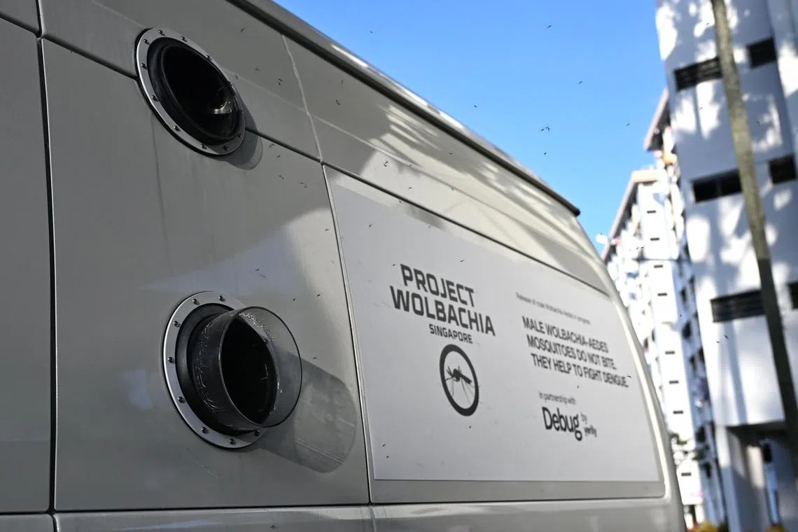 Slug: azmosquito20
ST PHOTO: Chong Jun Liang


Male Wolbachia-Aedes mosquitoes released via vans as part of National Environment Agency's Project Wolbachia Singapore near Blk 305 Clementi Ave 4 on February 20, 2024.