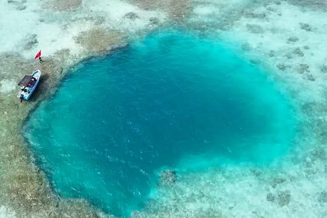 Rare coral reef blue hole found in South China Sea | The Straits Times