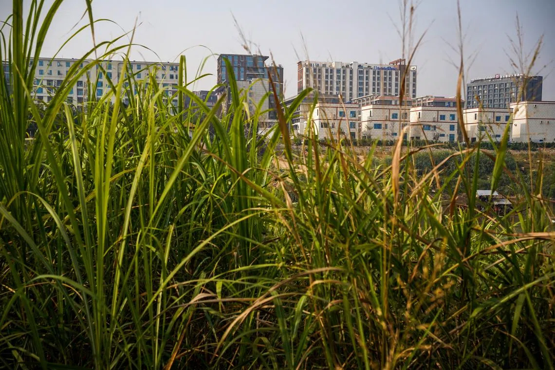 A general view of Shwe Kokko city, a casino, entertainment, and tourism complex, from Thailand's side of the border, after Thailand said it would suspend electricity supply to some border areas with Myanmar in an effort to curb scam centers, amid growing pressure on the illegal compounds that have ensnared vast numbers of people of multiple nationalities, in Mae Sot district, Thailand, February 5, 2025. REUTERS/Athit Perawongmetha