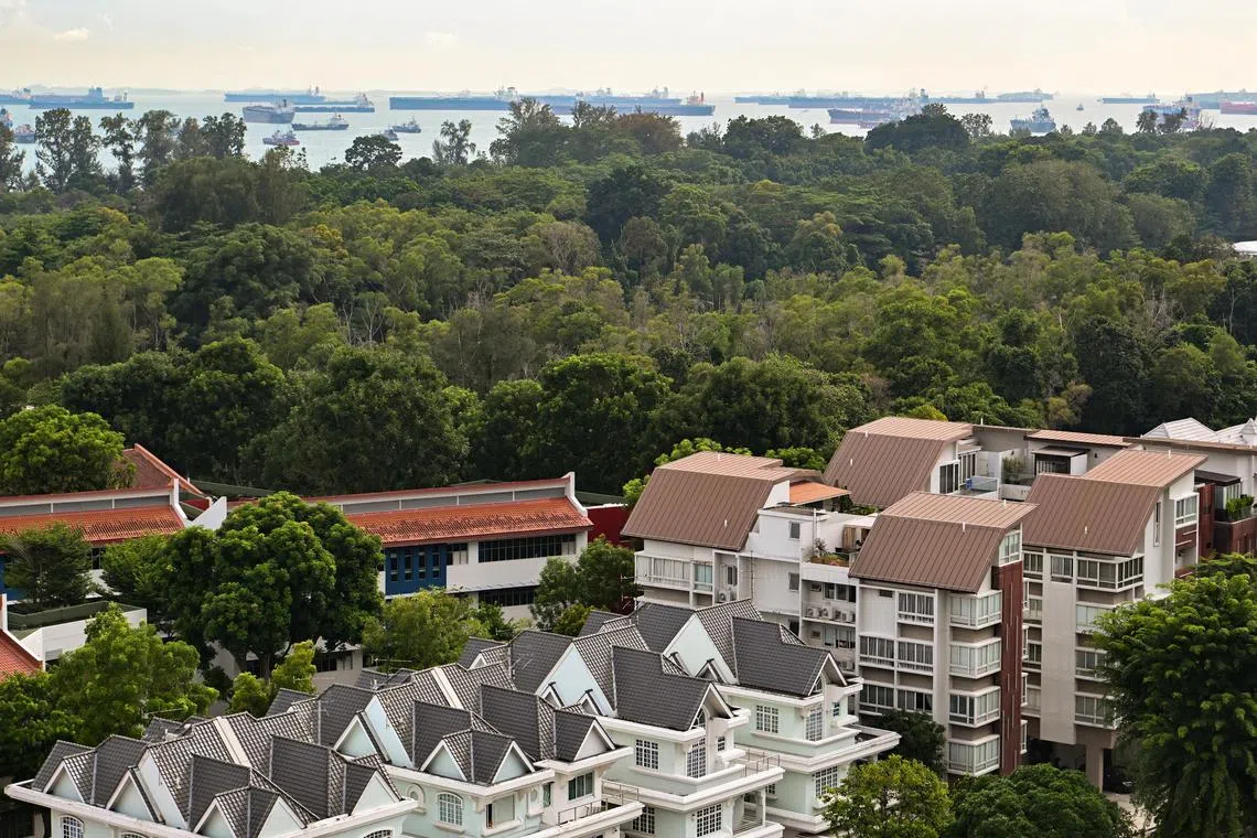 Homes in the Bayshore precinct are likely to be ready from the mid-2030s. 