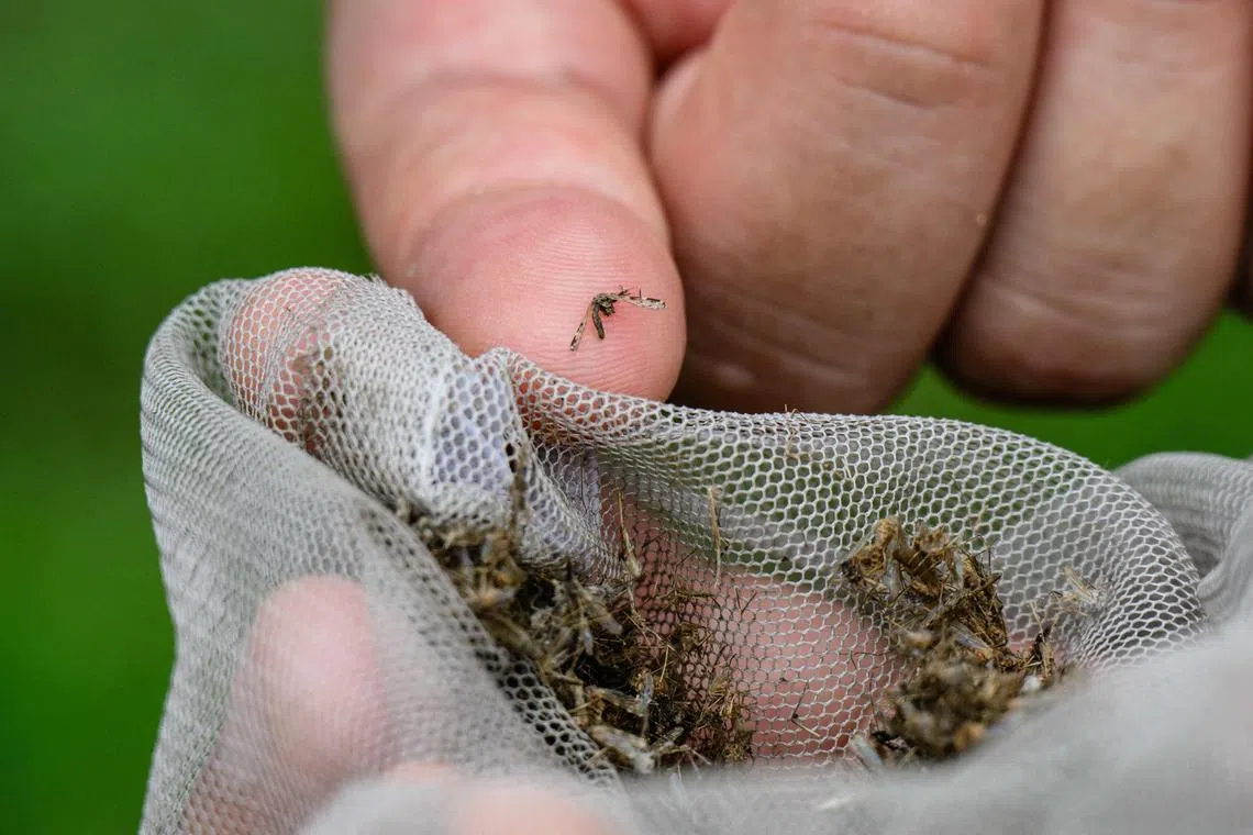 In the last decade, around 90 per cent of South Korea’s malaria patients were infected in regions near the DMZ.