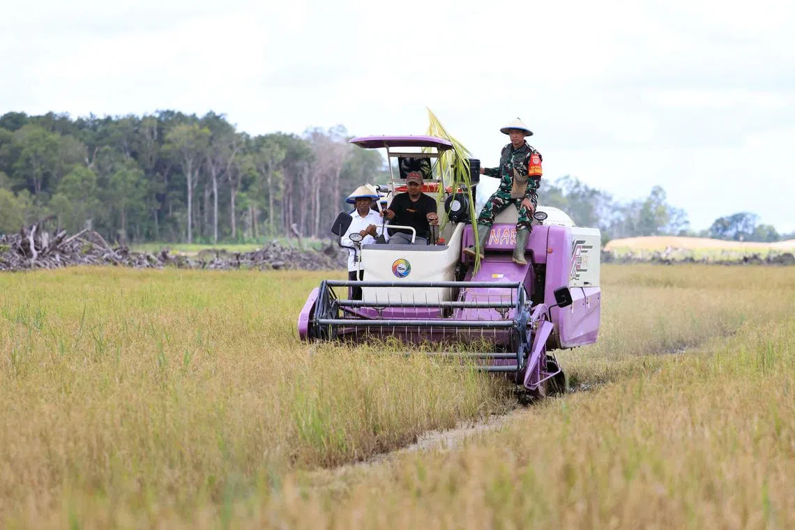 This picture taken on March 9, 2025 shows officials on a combine harvester during the first rice harvest attended government officials, military officers, and villagers at Kaliki Village in Merauke, South Papua, as part of Indonesia’s Food Estate Programme launched to improve food self-sufficiency through large-scale farming. Keen to end its reliance on rice imports, Indonesia wants to plant vast tracts of the crop, along with sugar cane for biofuel, in the restive eastern region of Papua. But environmentalists warn it could become the world's largest deforestation project, threatening endangered species and Jakarta's climate commitments. (Photo by ABDUL SYAH / AFP) / To go with AFP story Indonesia-climate-environment-agriculture-food,FOCUS by Marchio Gorbiano and Sara Hussei