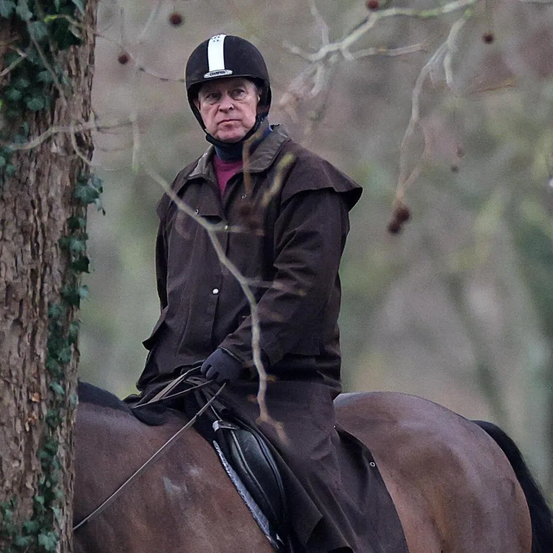 A man wearing a balaclava is said to have approached Mr Andrew Mountbatten-Windsor (above) - King Charles’ younger brother - and shouted at him.