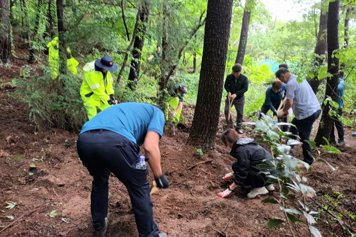 Police are seen searching a hillside in Geoje, South Gyeongsang Province, on June 5 to locate the body of a baby allegedly murdered and buried by his mother. 