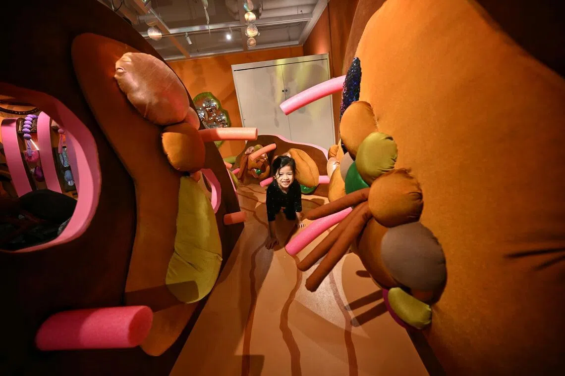WonderGround at The Artground is an immersive arts space and indoor playground.