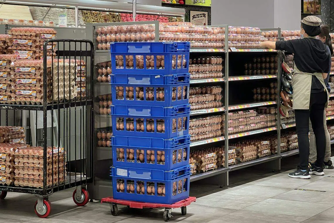 The move is set to increase the capacity of Singapore’s egg industry to collectively meet about half of Singapore’s demand for eggs.