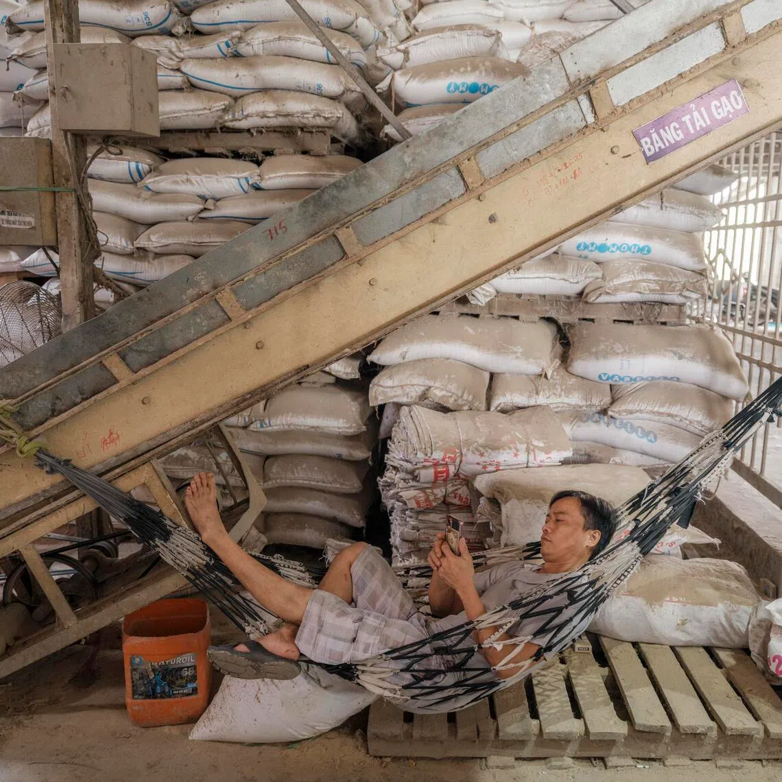 Some Thai famrers have suspended rice cultivation because their profits simply are not enough to cover the ballooning costs.
