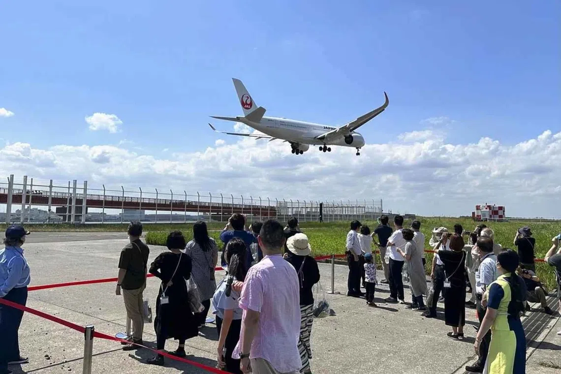 Hato Bus Co., a major bus tour operator based in Ota Ward, has been holding the “Haneda Airport Best View Drive” since 2022. 