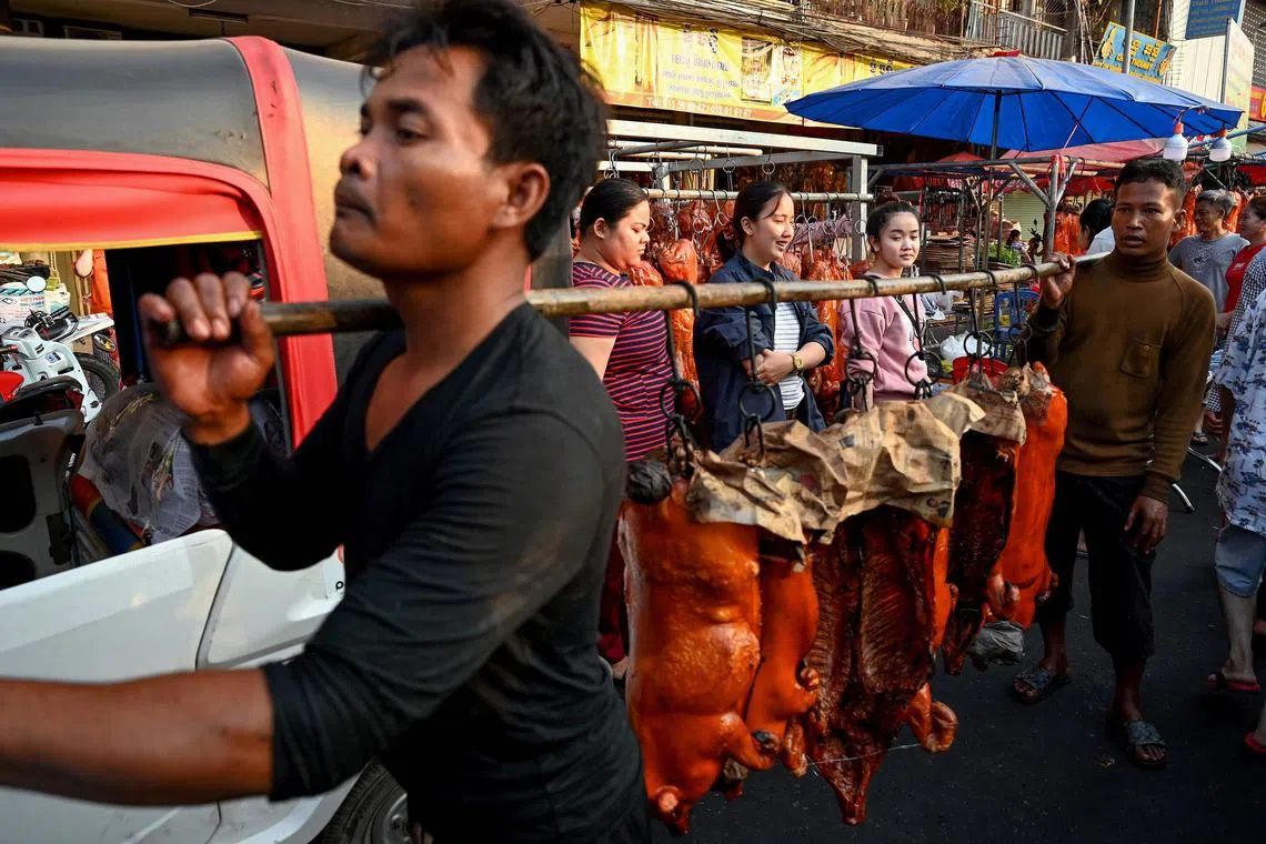 Workers carrying roasted pigs for sale at a market in preparation for the Lunar New Year celebrations in Phnom Penh on February 9, 2024, ahead of the Lunar New Year of the Dragon which falls on February 10.