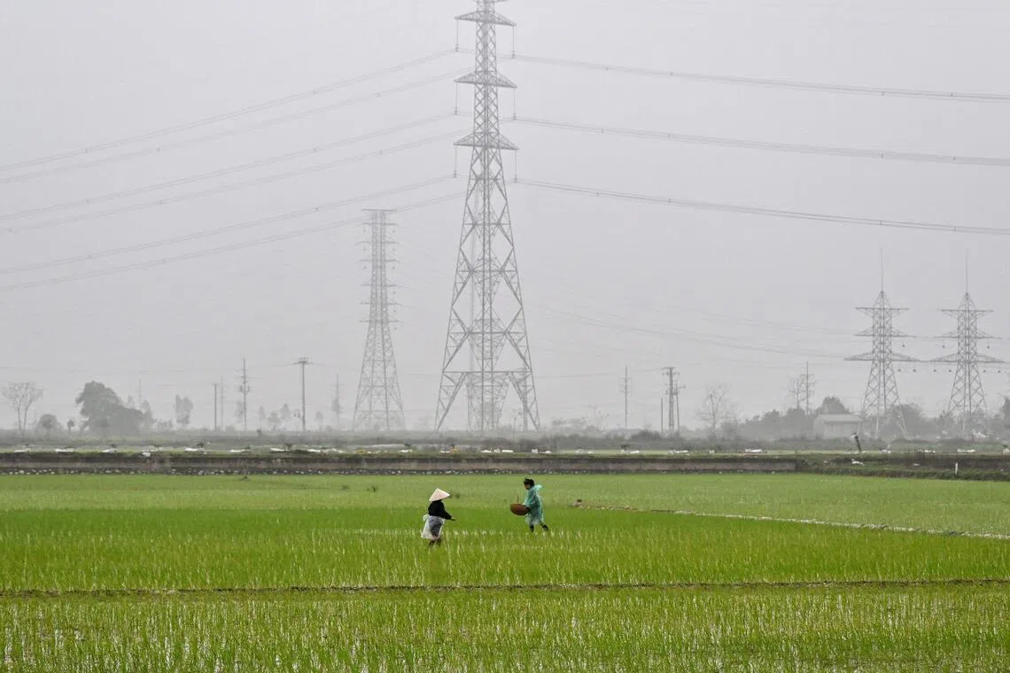 Vietnam has around 10 million farming households, cultivating 1.15 million ha of vegetables and 1.3 million ha of fruit.