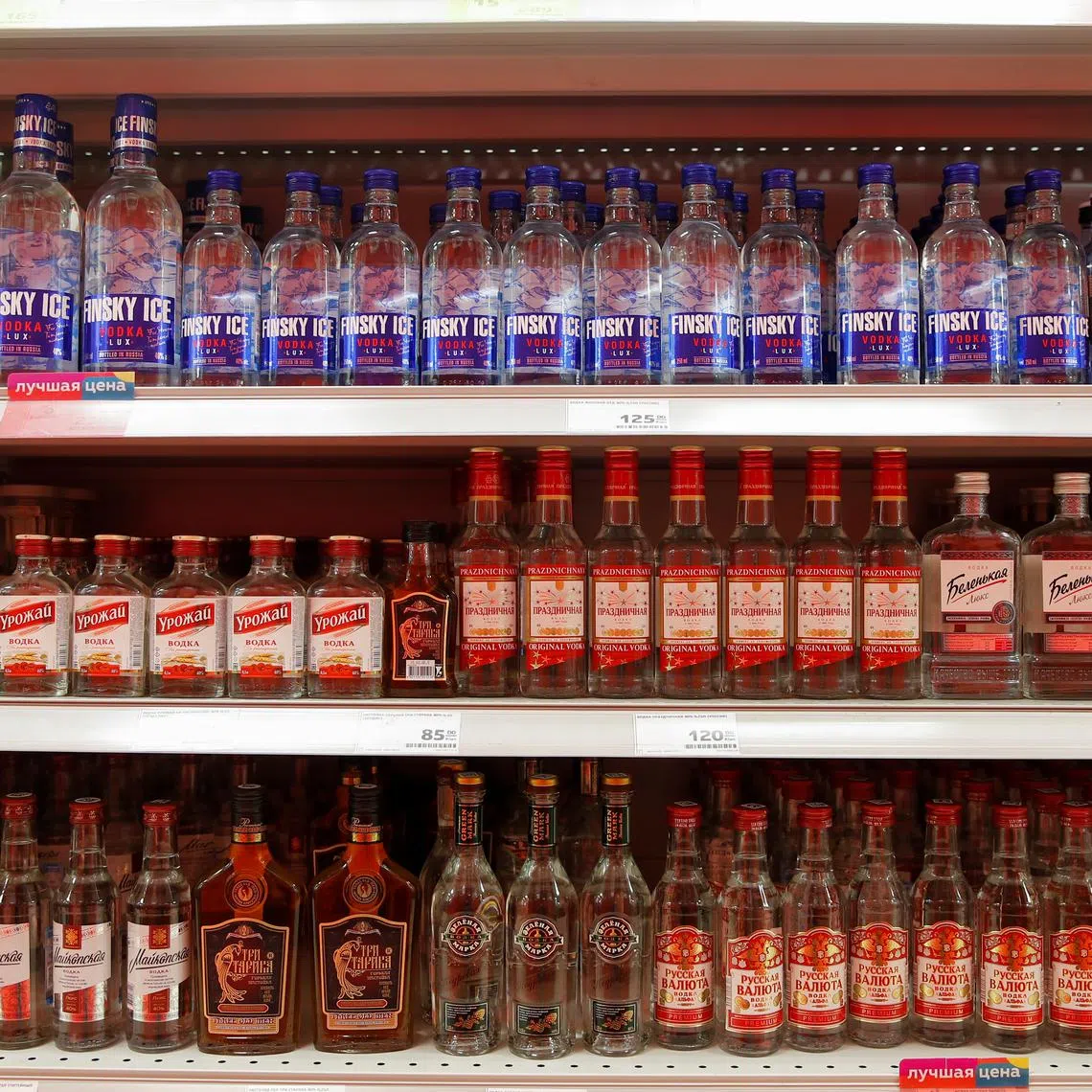 Bottles of vodka are displayed for sale in a supermarket in Moscow, Russia April 8, 2020. REUTERS/Maxim Shemetov/File Photo