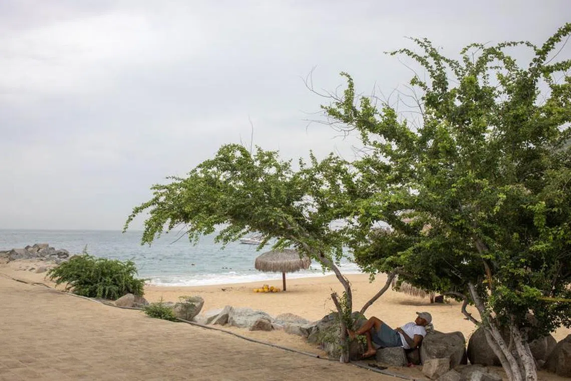 A man rests under a tree as Hurricane Norma barrels towards the Baja California peninsula, in Cabo San Lucas, Mexico, October 20, 2023. REUTERS/Fernando Castillo