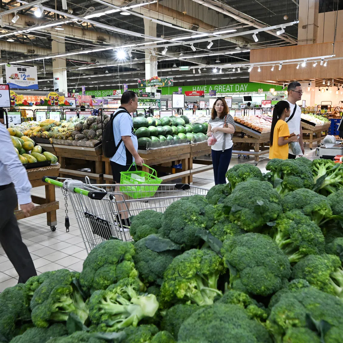 Singapore must be realistic in view of the trade-offs with more critical and competing uses of land resources.