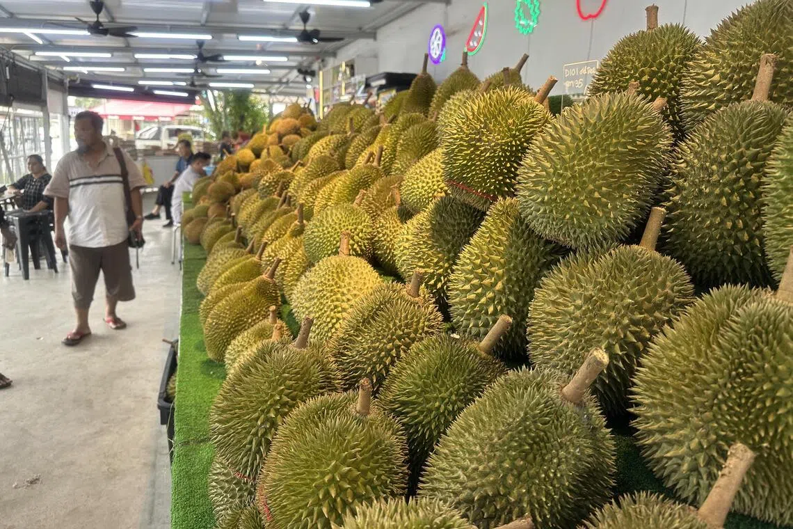 Between 2020 and 2024, Malaysia’s durian exports to Europe surged 162 per cent.