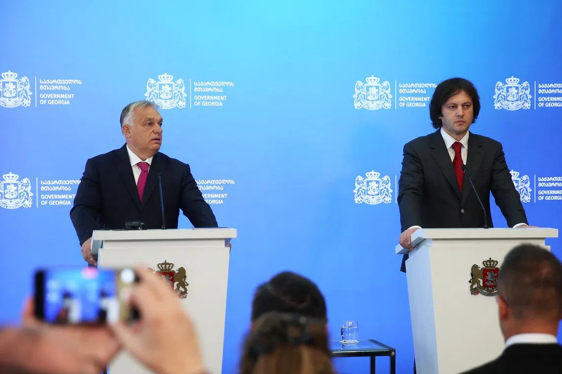 In Georgian capital, Hungary's Orban says election was fair