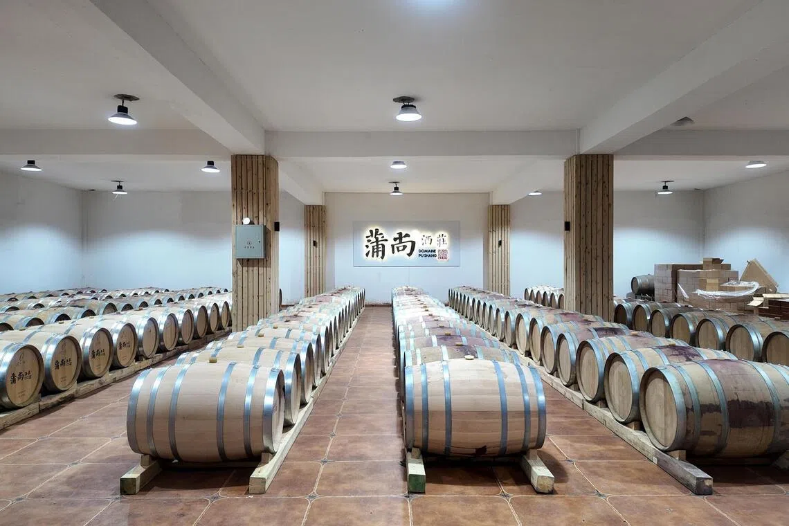 cellar, wine, china, vineyard