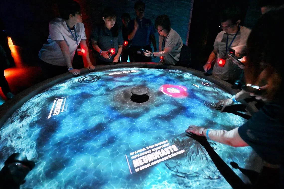 World of Darkness lets visitors feel their way through caves, tunnels and the ocean floor.