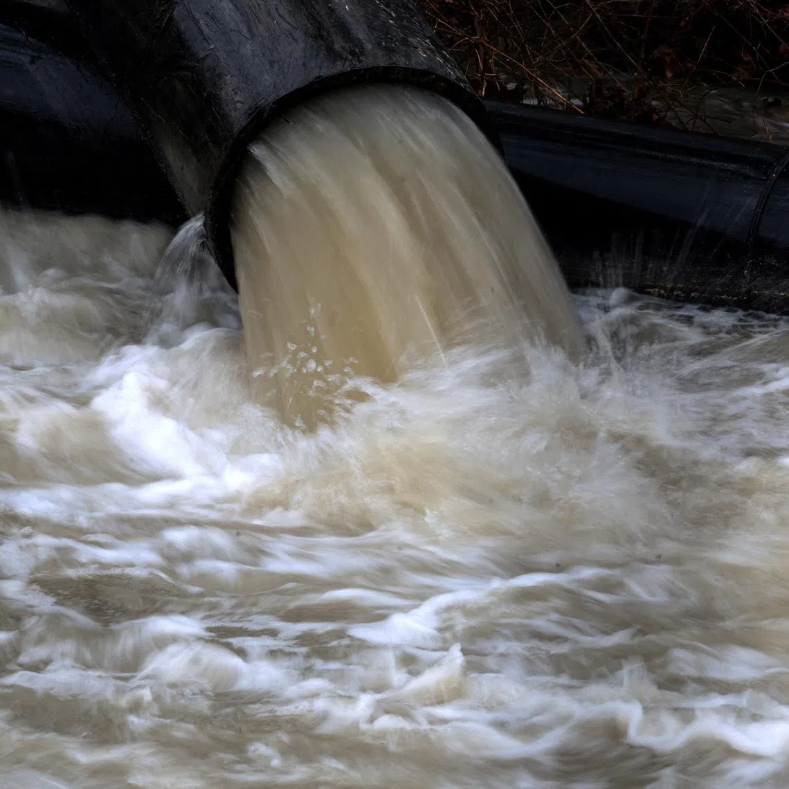 FILE PHOTO: Temporary pipes divert sewage into the C&O Canal in order to repair the Potomac Interceptor, a six-foot-wide wastewater pipe, in Cabin John, Maryland, U.S., February 18, 2026.  REUTERS/Evelyn Hockstein/File Photo