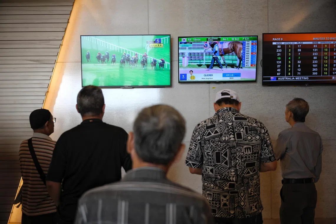 Punters watching a replay of one of the races at the Singapore Turf Club on the final day, October 5, 2024.
