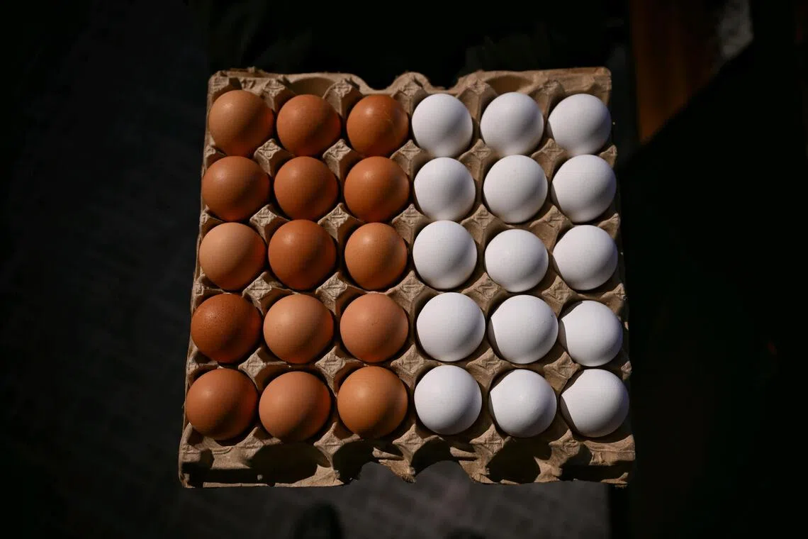 Worth a crack? US eggs make a comeback in Singapore after more than 20 years