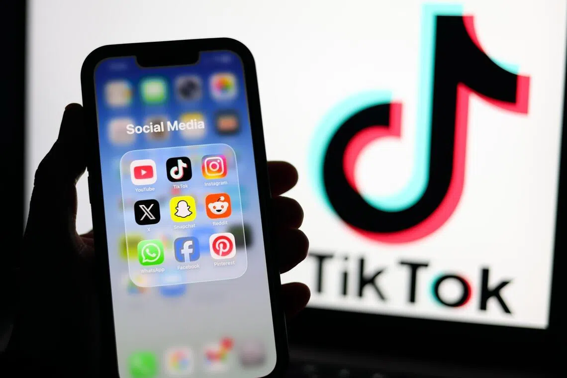 TikTok - along with Meta, Snap and YouTube - faced allegations that its platform is fuelling a youth mental health crisis.