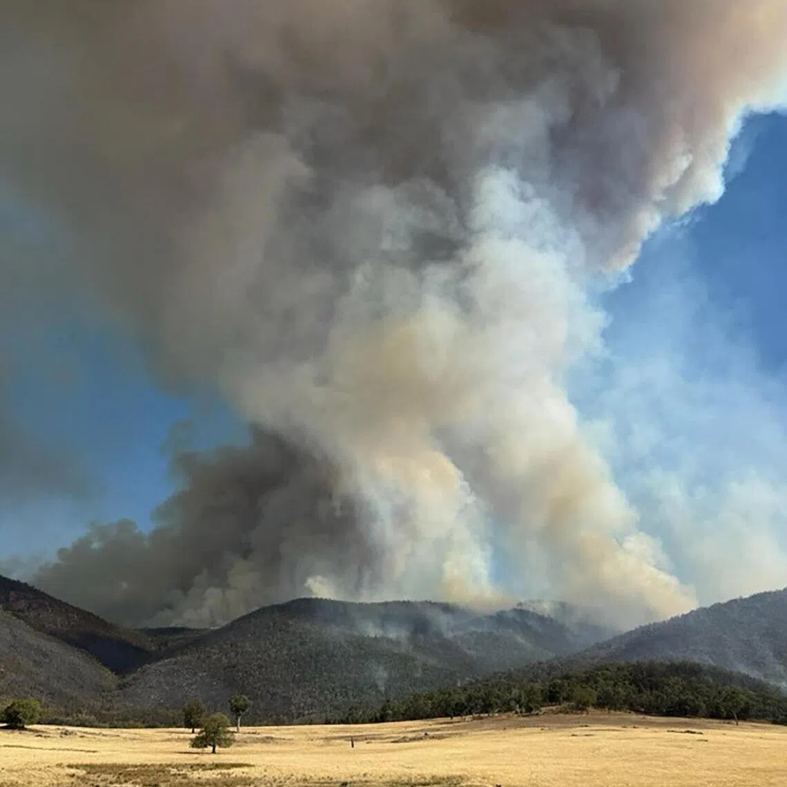 A bushfire burning in the Mount Lawson State Park on Jan 6. 