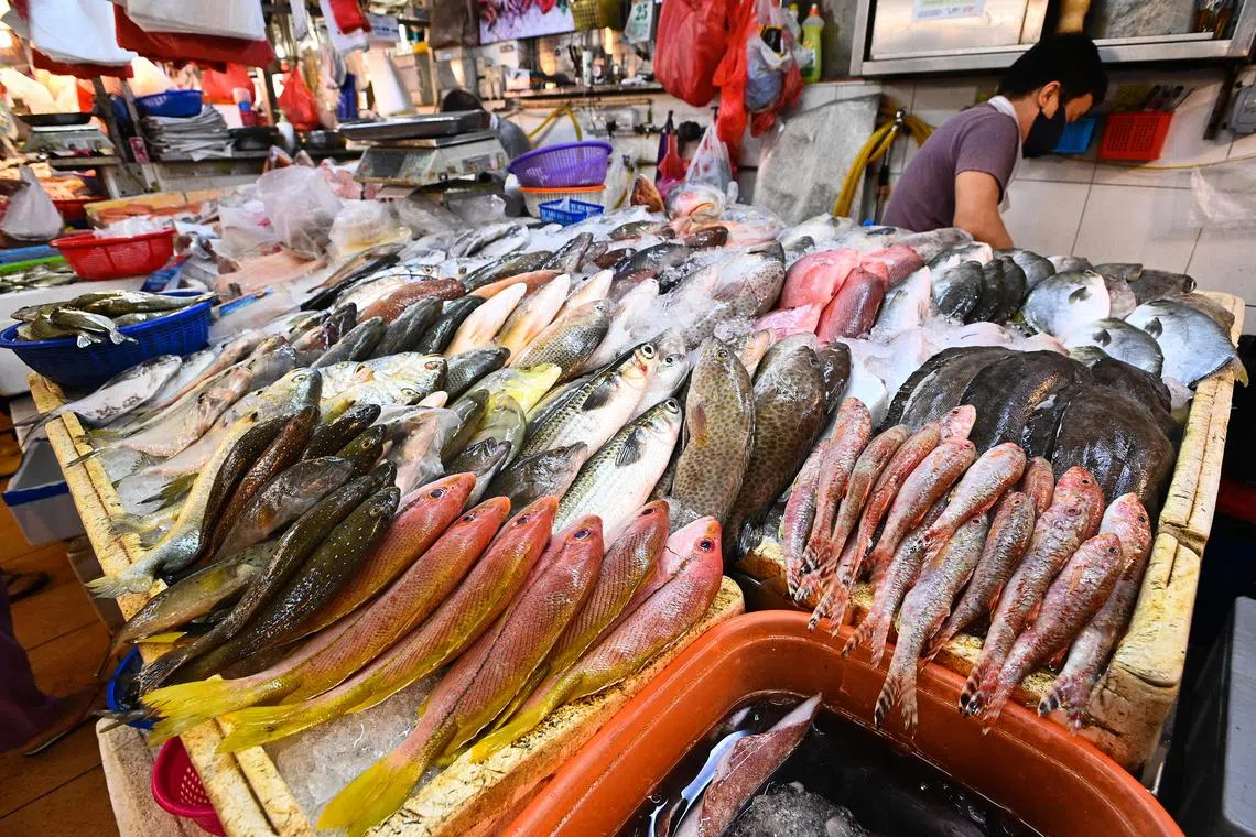 Aquaculture production of seafood in 2022 hit a record 223.2 million tonnes - giving hope that it can meet the growing global demand for seafood. 