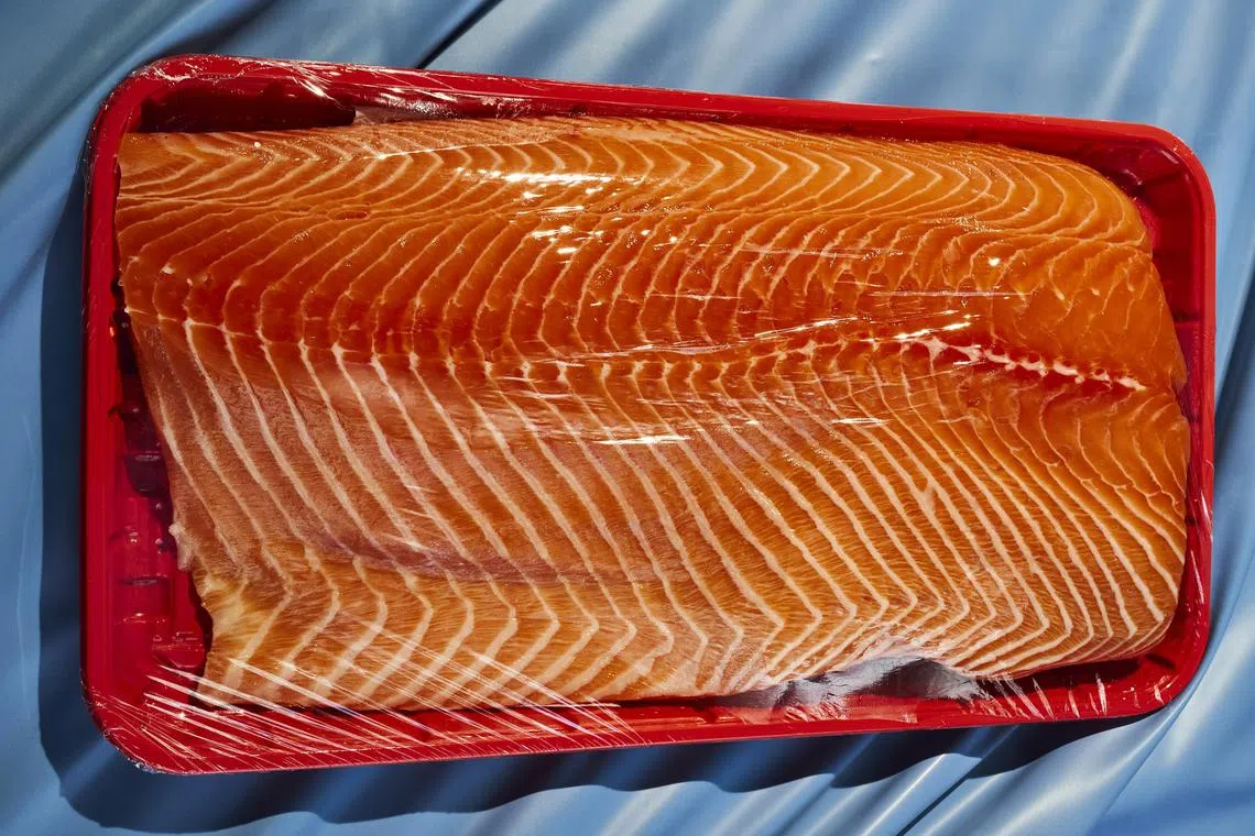 Salmon is good for you — that part we know. But choosing which type to eat for your health — sockeye or coho, wild or farmed — is not so obvious. 