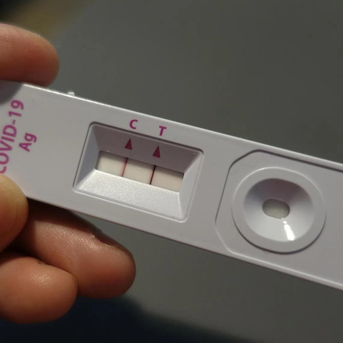 Study suggests Covid spreads by making more lung cells vulnerable, driving severe inflammation and damage.