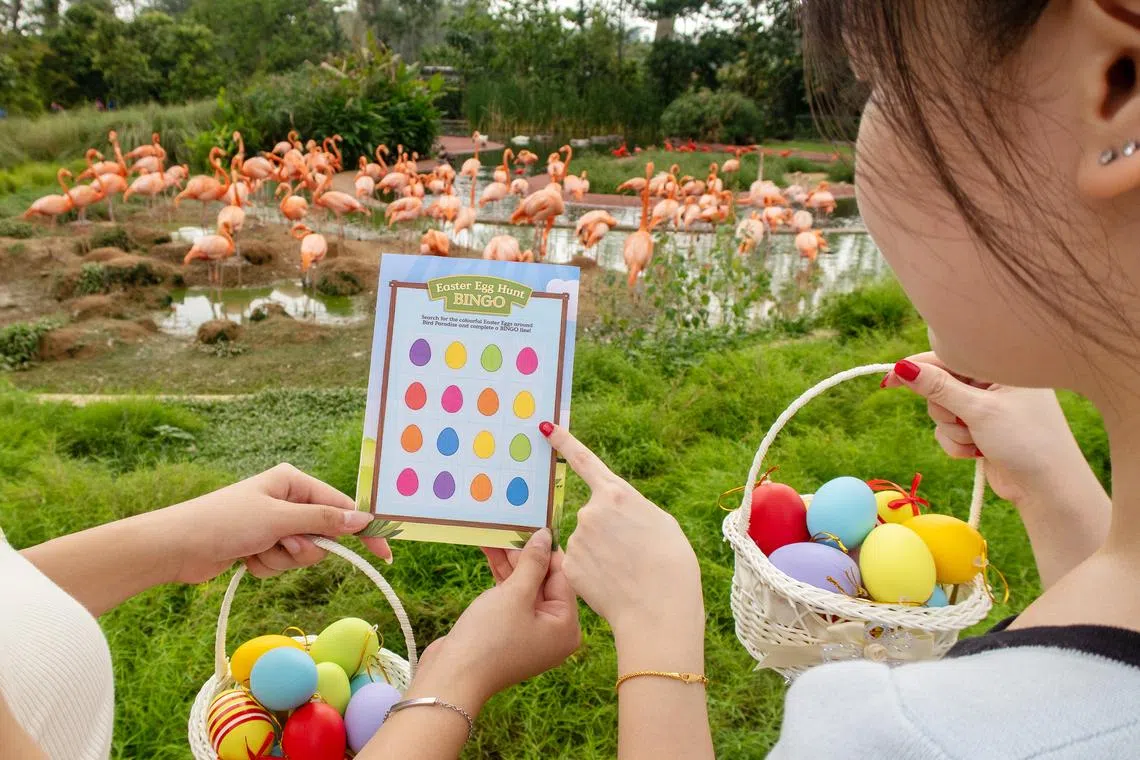Guests who complete the Ranger Buddies Eggs-pedition bingo card earn a Ranger Buddies sticker sheet and a spin at the Hot-Egg Balloon Gachapon. 