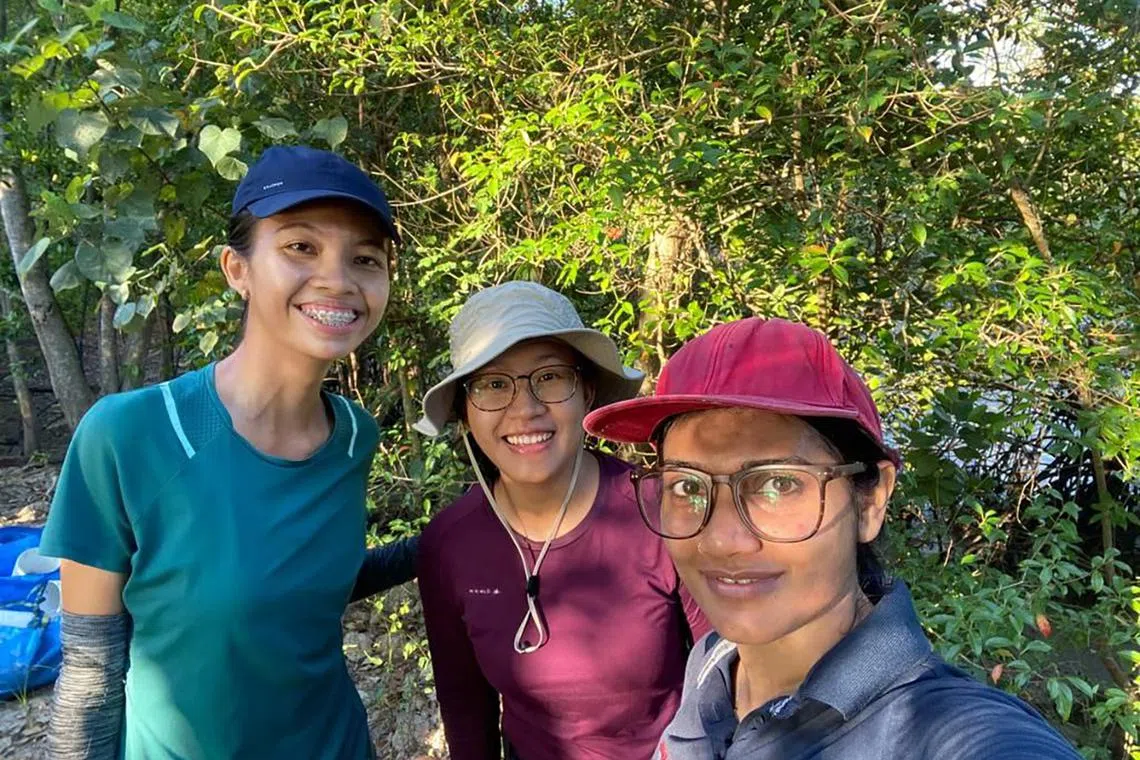 (From left) Jamie Yeo, Shakura Bashir and Naima Iram helping to measure blue carbon at Pulau Ubin as part of volunteering work with NUS CNCS.
