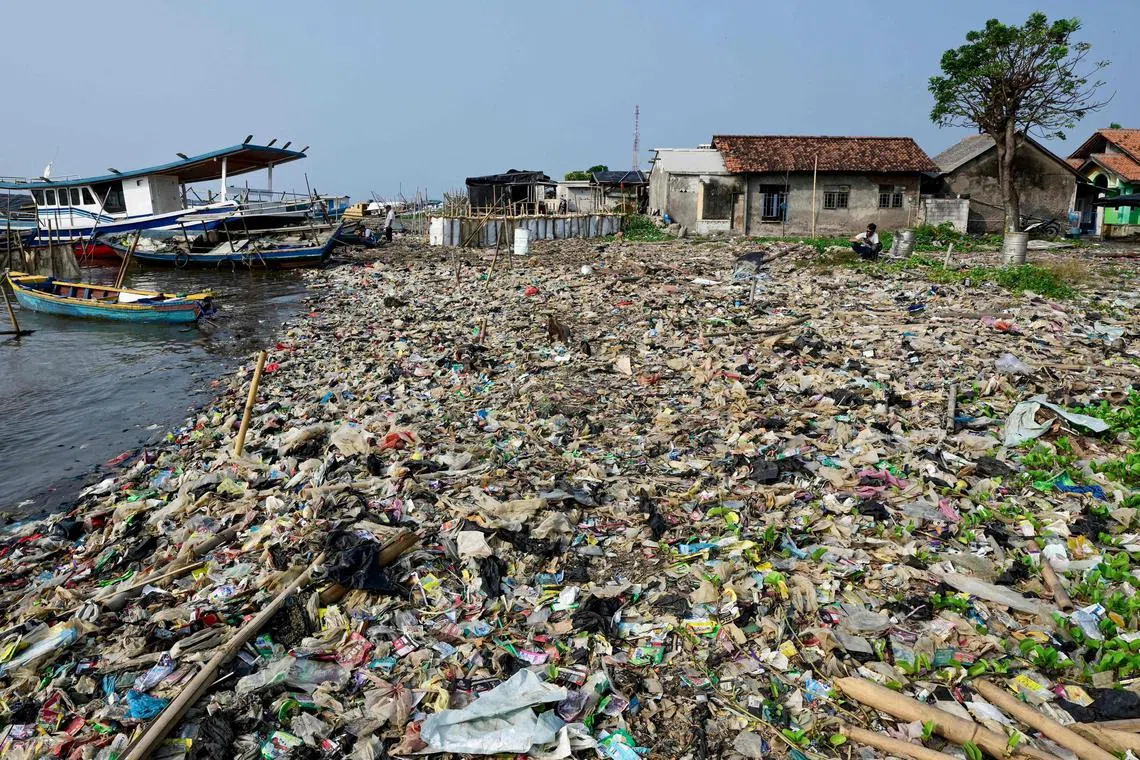 Global plastic production has more than doubled since the start of the century to reach 460 million tonnes.