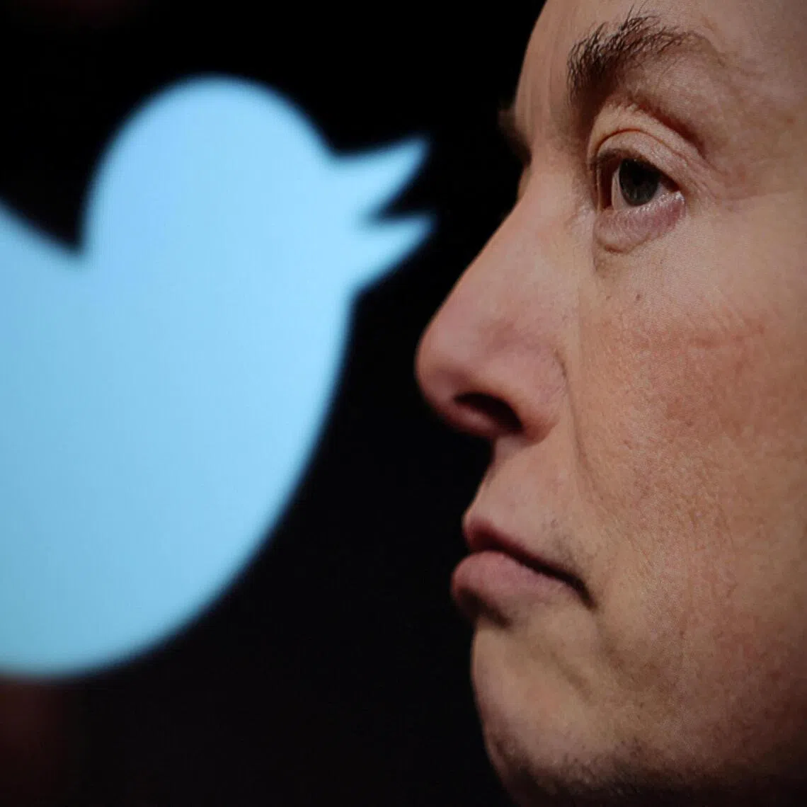 Elon Musk acquired Twitter in late October 2022 and later renamed it X.
