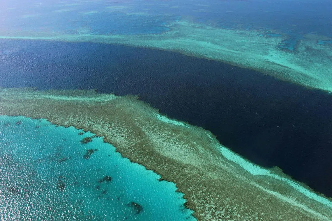 A 2014 photo shows a section of the Great Barrier Reef off the coast of Australia's Whitsunday Islands.