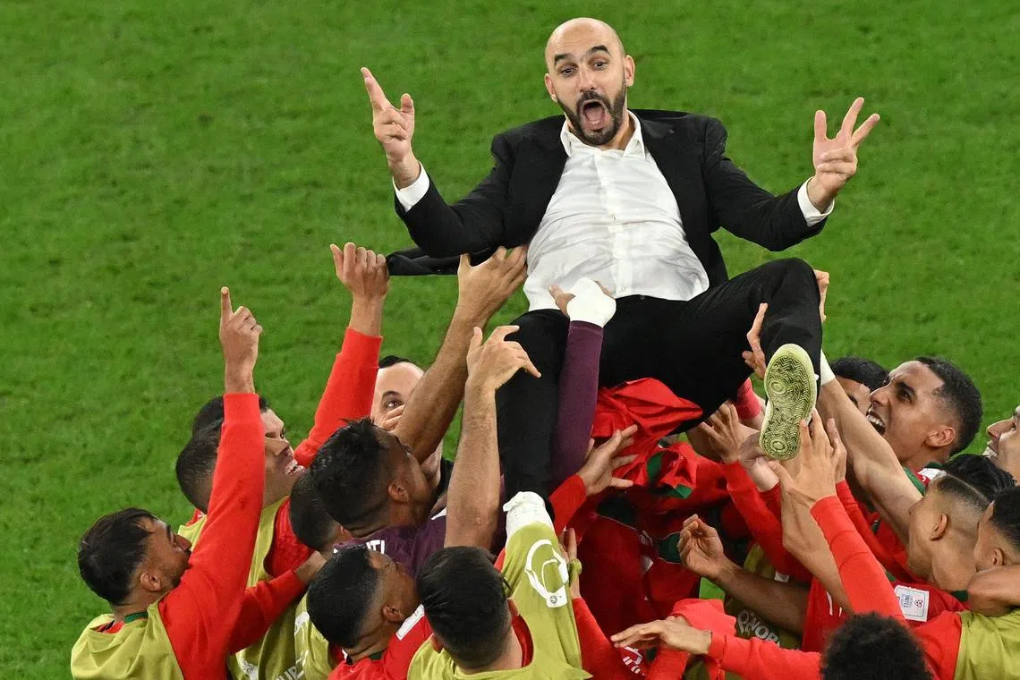 Morocco players throw their coach Walid Regragui in the air as they celebrate after beating Spain on penalties in the World Cup round of 16.