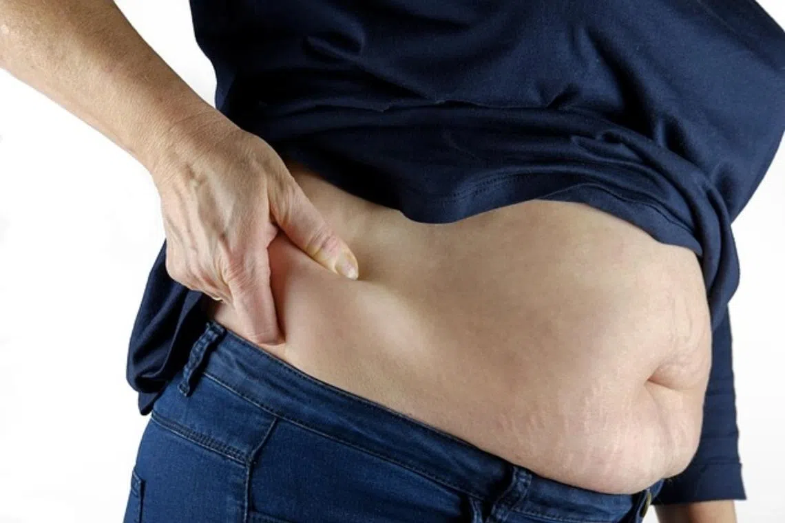 Regardless of how they calculate it, what doctors are most concerned about is excess body fat.