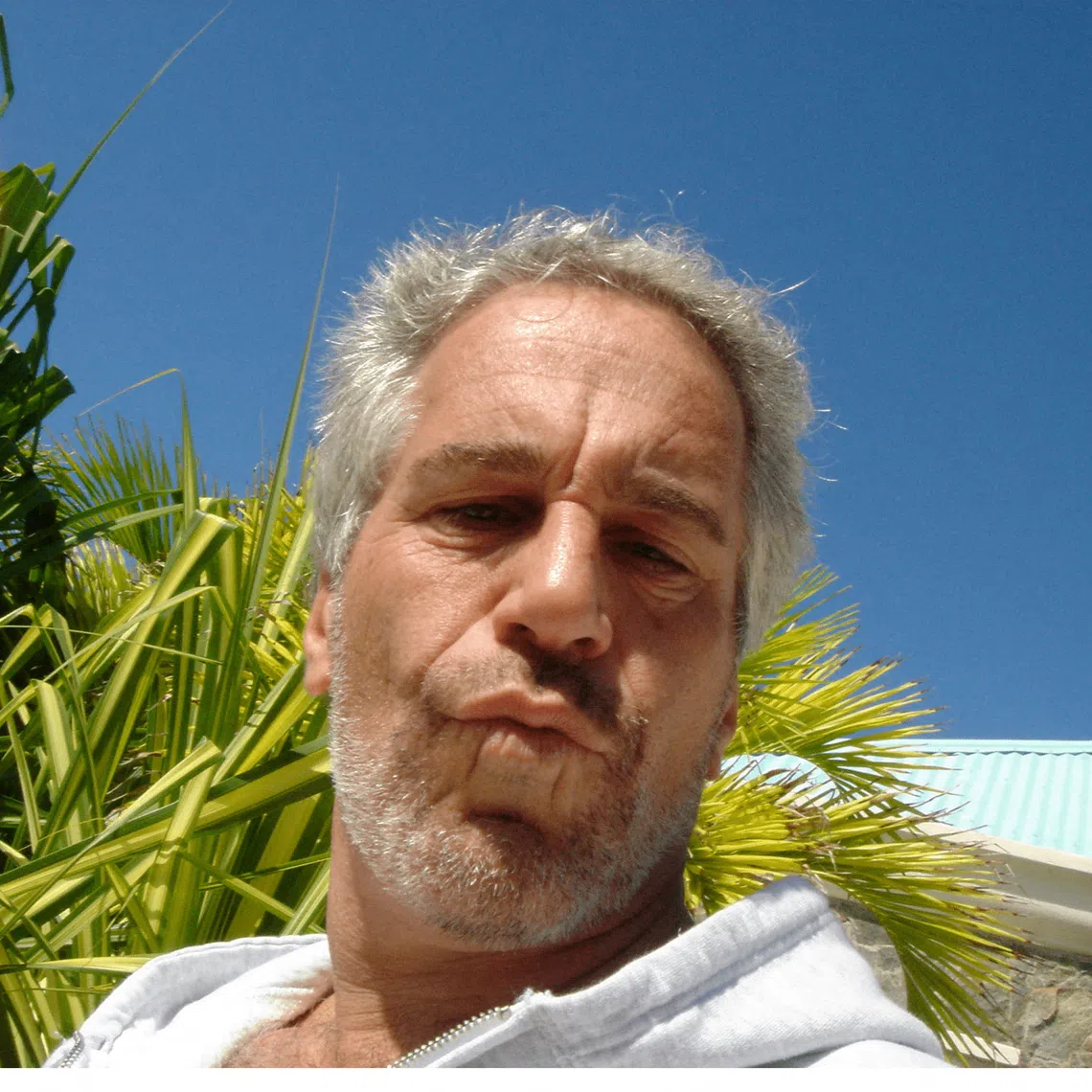 Late convicted sex offender Jeffrey Epstein in an image released by the Department of Justice on Dec 19.