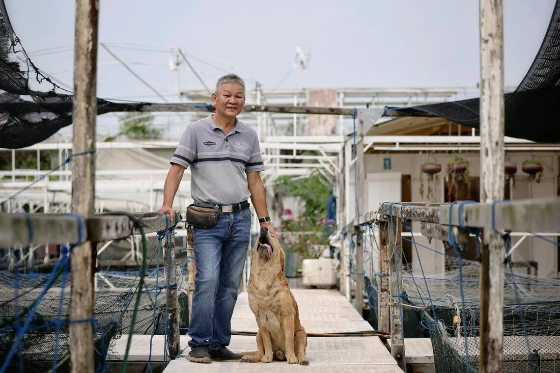 (EMBARGOED UNTIL THE END OF GRACE FU'S SPEECH ON OCT 28, 2026)

Founder of Smith Marine Ong Jong Yang, 66, at Smith Marine floating restaurant and kelong in the East Johor Strait on Oct 21, 2026.