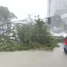 A heavy downpour on Dec 12 resulted in flash floods in various parts of Johor Bahru, and led to the collapse of a stage set up for an event.
