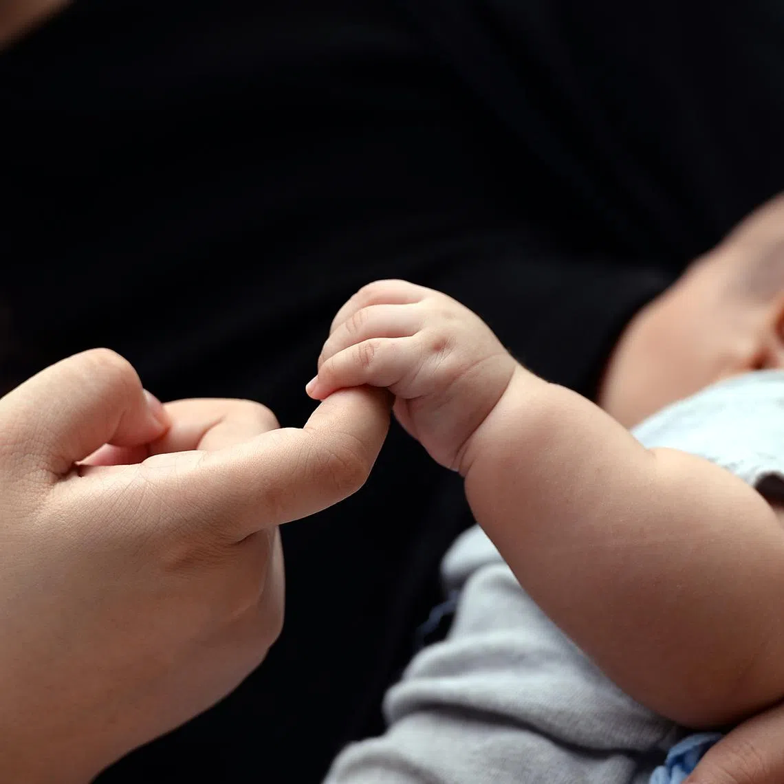 In 2024, there were 244 babies born to teenagers aged 19 or younger, up 7 per cent from the 228 such babies in 2023.