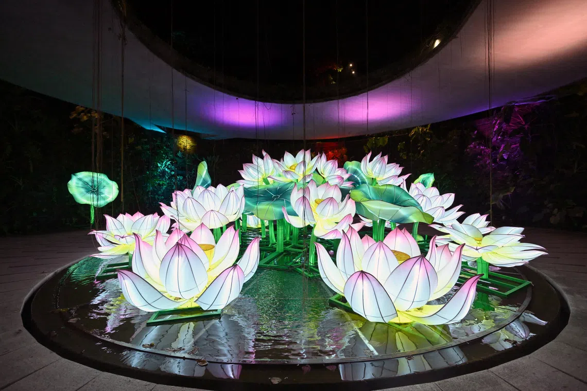 A close-up of the huge lotus lanterns at the Sunken Garden.