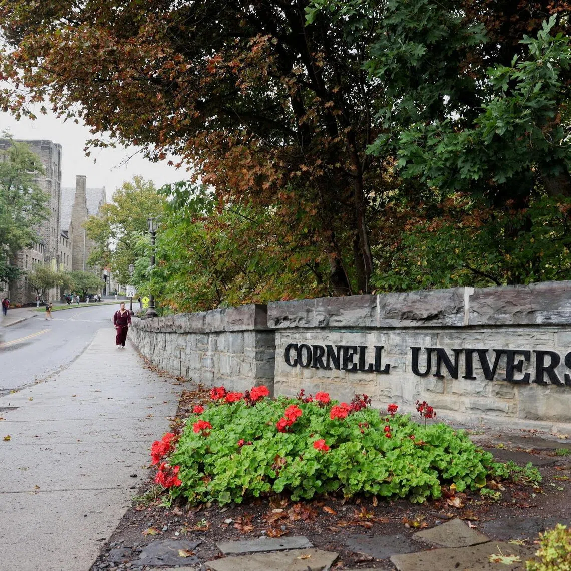 The alleged 2024 gang rape of a Cornell University student, detailed in a recent lawsuit, has sparked an outpouring of outrage against the seven accused perpetrators.