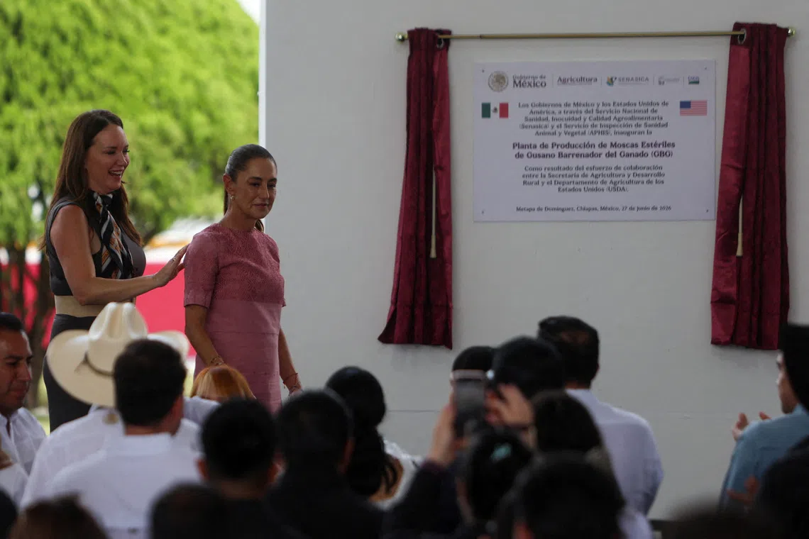 FILE PHOTO: U.S. Agriculture Secretary Brooke Rollins and Mexican President Claudia Sheinbaum attend the opening of a sterile fly production plant, a key step to contain the cross-border spread of the New World screwworm and its impact on cattle trade, in Metapa de Dominguez, Chiapas state, Mexico, June 27, 2026. REUTERS/Damian Sanchez/File Photo