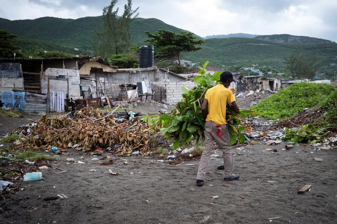 FILE PHOTO: A man removes tree branches in Caribbean Terrace neighborhood as Hurricane Beryl approaches, in Kingston, Jamaica, July 3, 2024. REUTERS/Marco Bello/File Photo