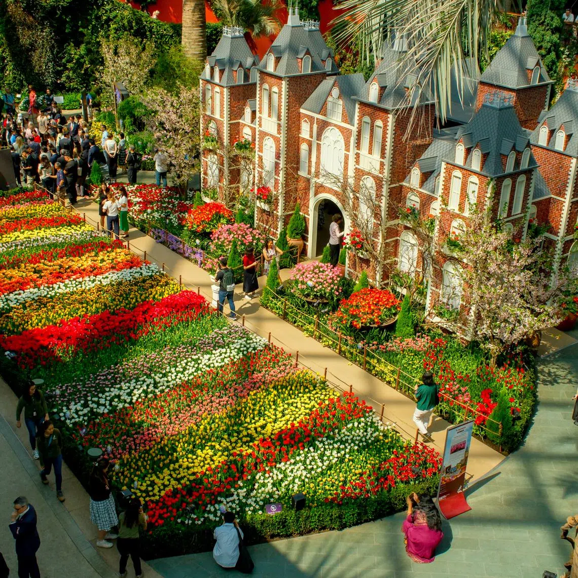Singapore’s Gardens by the Bay was listed behind Edinburgh’s The Royal Yacht Britannia and Barcelona’s Basílica de la Sagrada Familia in the “top attractions in the world” category.