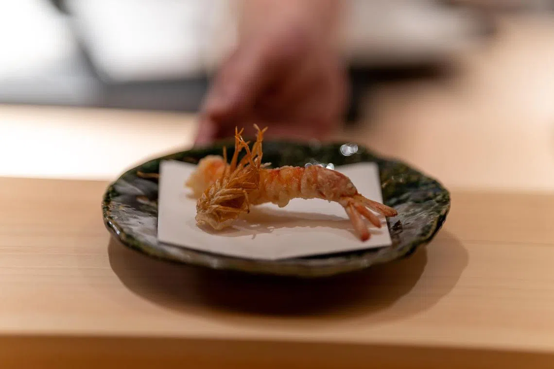 hypicks14 - Tenshima - Tiger Prawn

Copyright: Tenshima