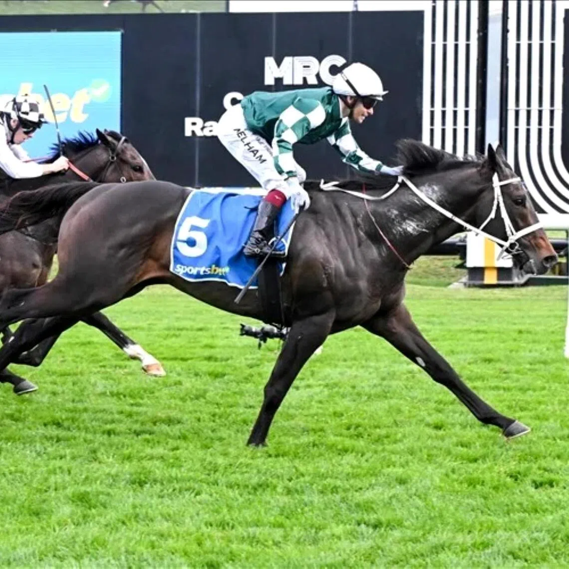 Angel Capital -  Angel Capital (Ben Melham) breaking his Group 1 duck in the Sir Rupert Clarke Stakes (1,400m) at Caulfield on Sept 19.

PHOTO: RACING PHOTOS