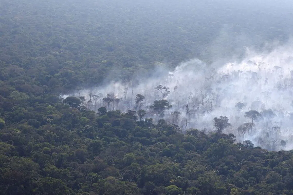 FILE PHOTO: Smoke from a fire rises into the air as trees burn amongst vegetation in Brazil&#039;s Amazon rainforest near Humaita, Amazonas state, Brazil, August 3, 2023. REUTERS/Leonardo Benassatto/File Photo