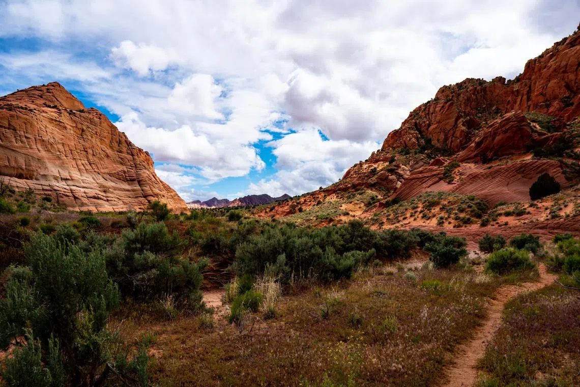 The hikers had set off last Friday from Wire Pass, a trailhead that leads into Buckskin Gulch.